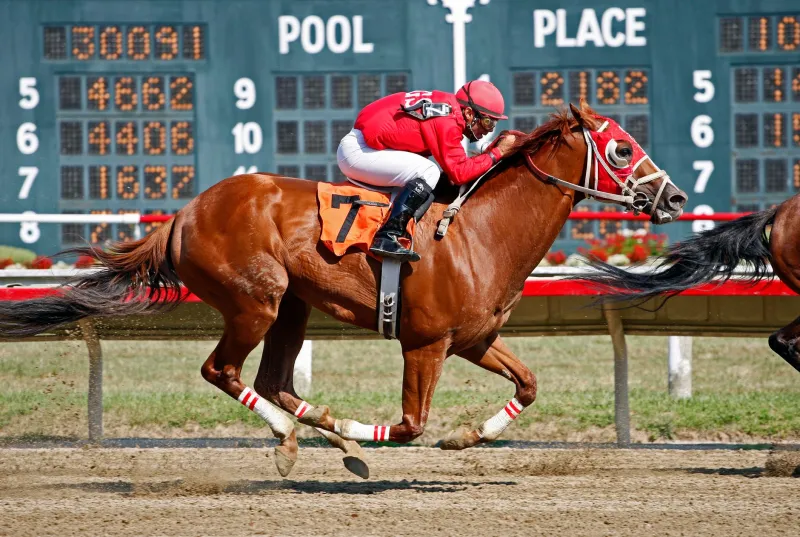 Same-Game Parlays and the Illusion of the Boost: What the House Knows That You Don't